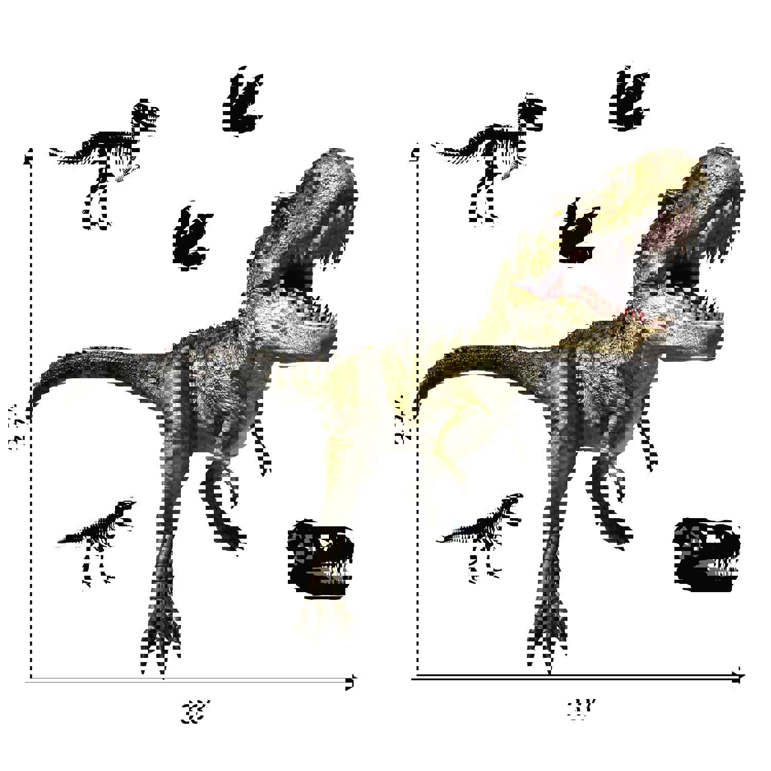 T-Rex Dinosaur Interactive Wall Decal