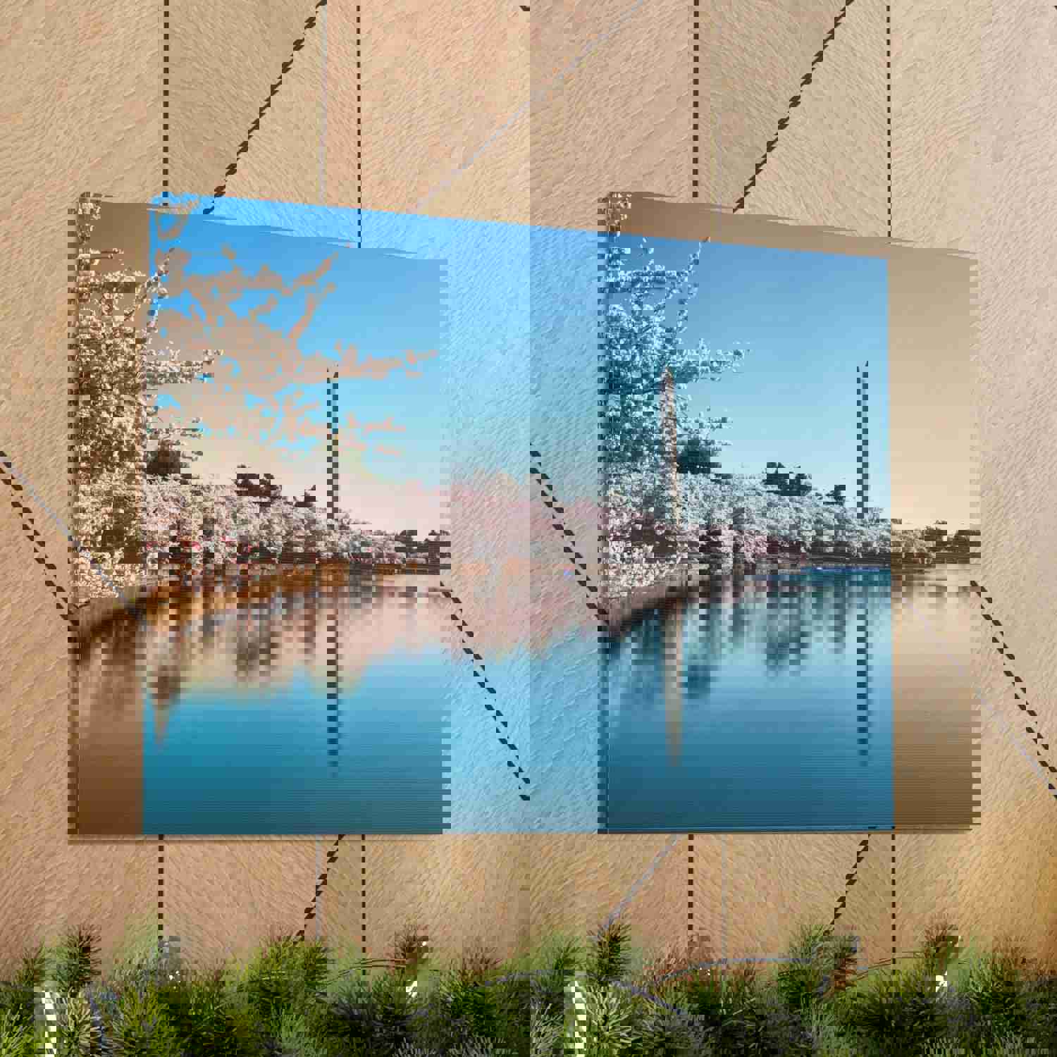 Cherry Blossom Festival at The National Mall Washington Modern Multicolor Scenic Nature Photography Canvas Home Office Decor Ready to Hang