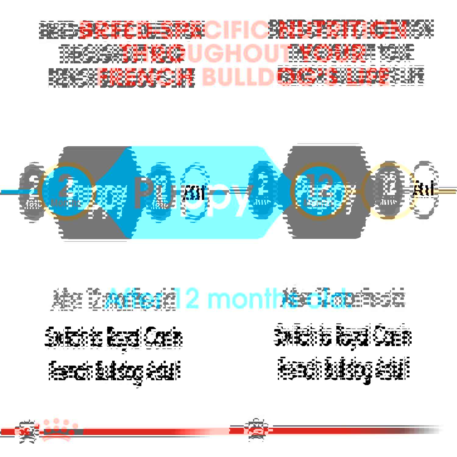 Royal Canin French Bulldog Puppy Dry Dog Food, 3-lb Bag