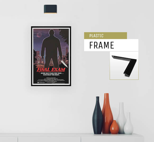 Final Exam - 11 x 17 Movie Poster (1981 Reprint)