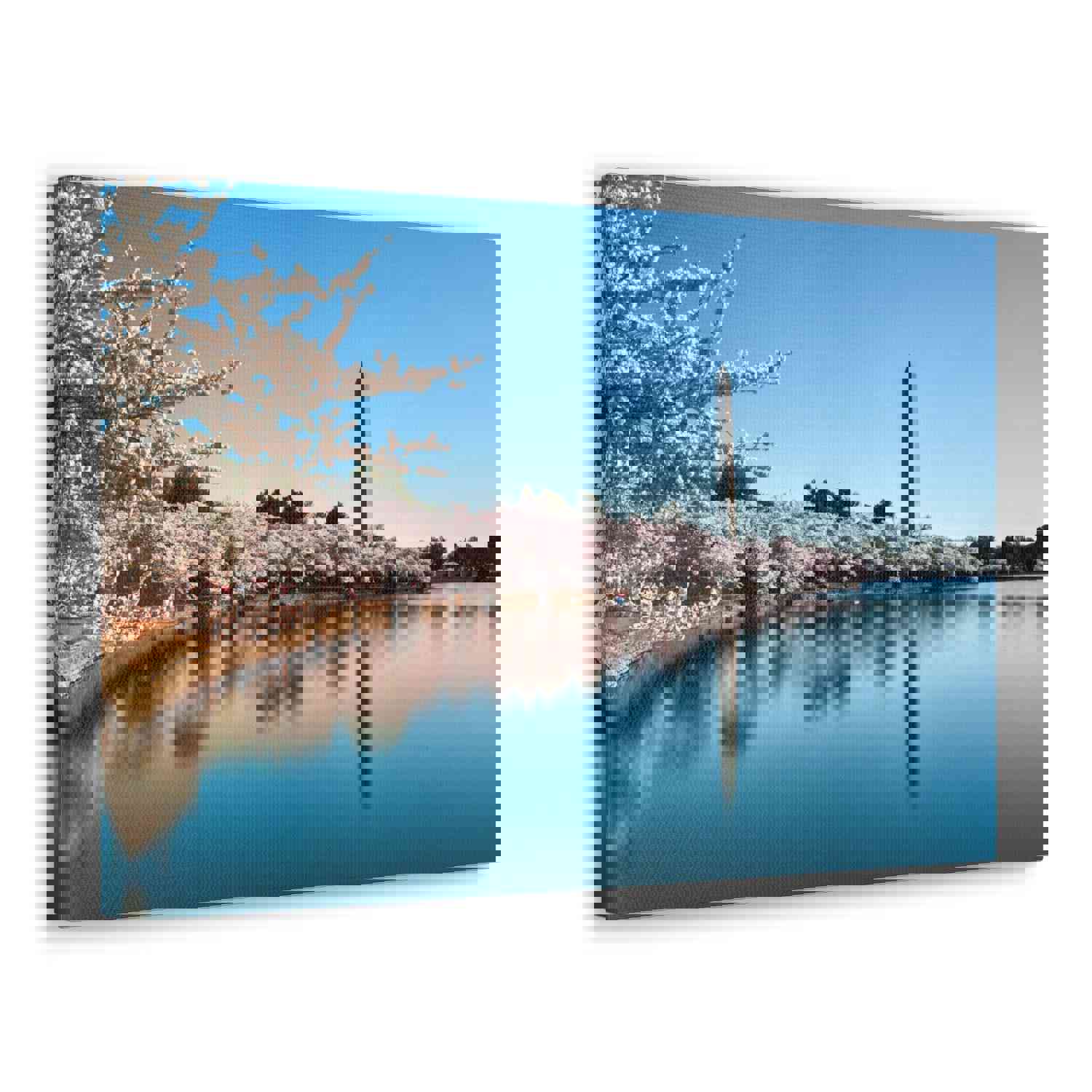 Cherry Blossom Festival at The National Mall Washington Modern Multicolor Scenic Nature Photography Canvas Home Office Decor Ready to Hang