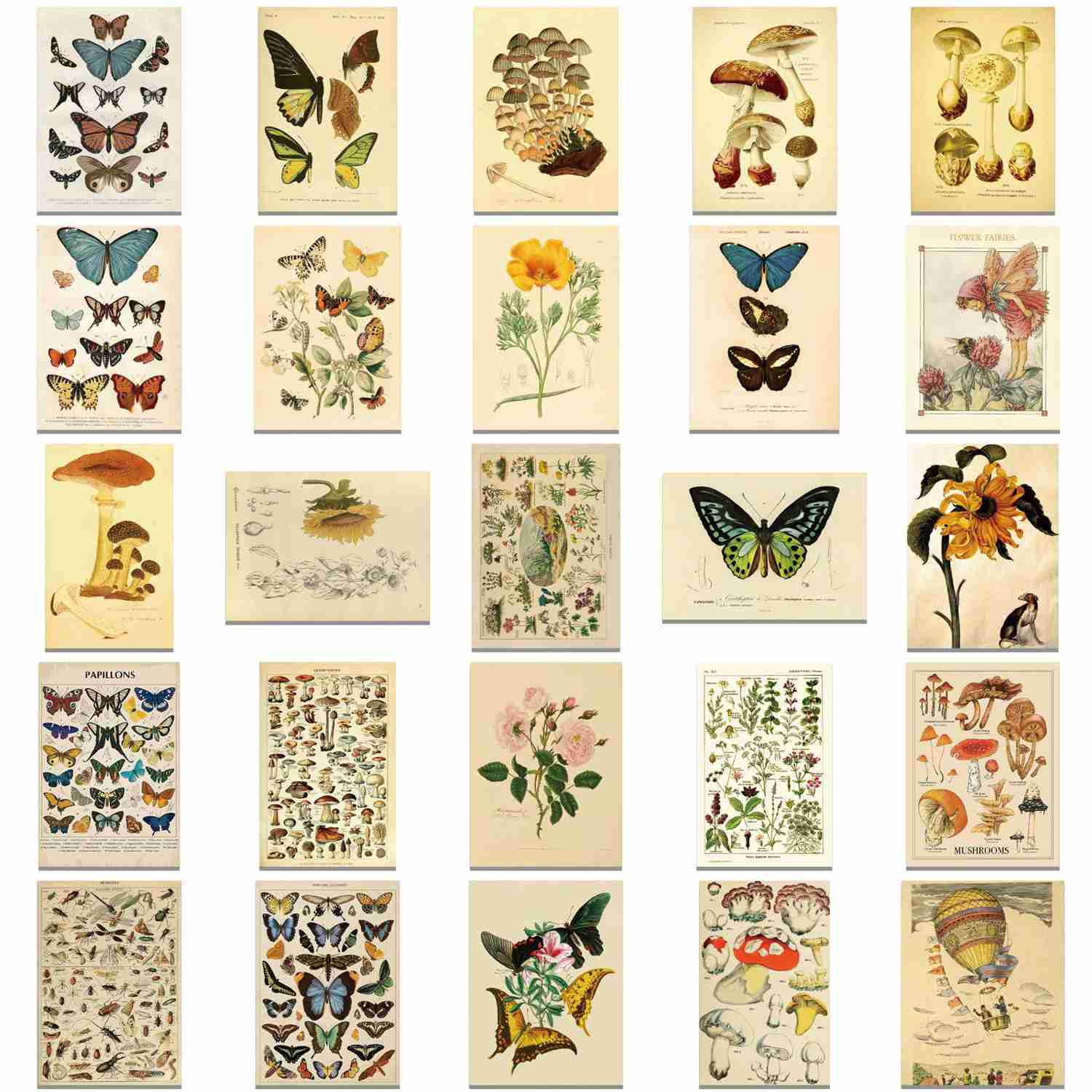 Craspire 50Pcs Retro Rectangle PVC Plastic Floral Plant Butterfly Sticker Labels - Self-adhesive Decorative Decals for Multiple Surfaces