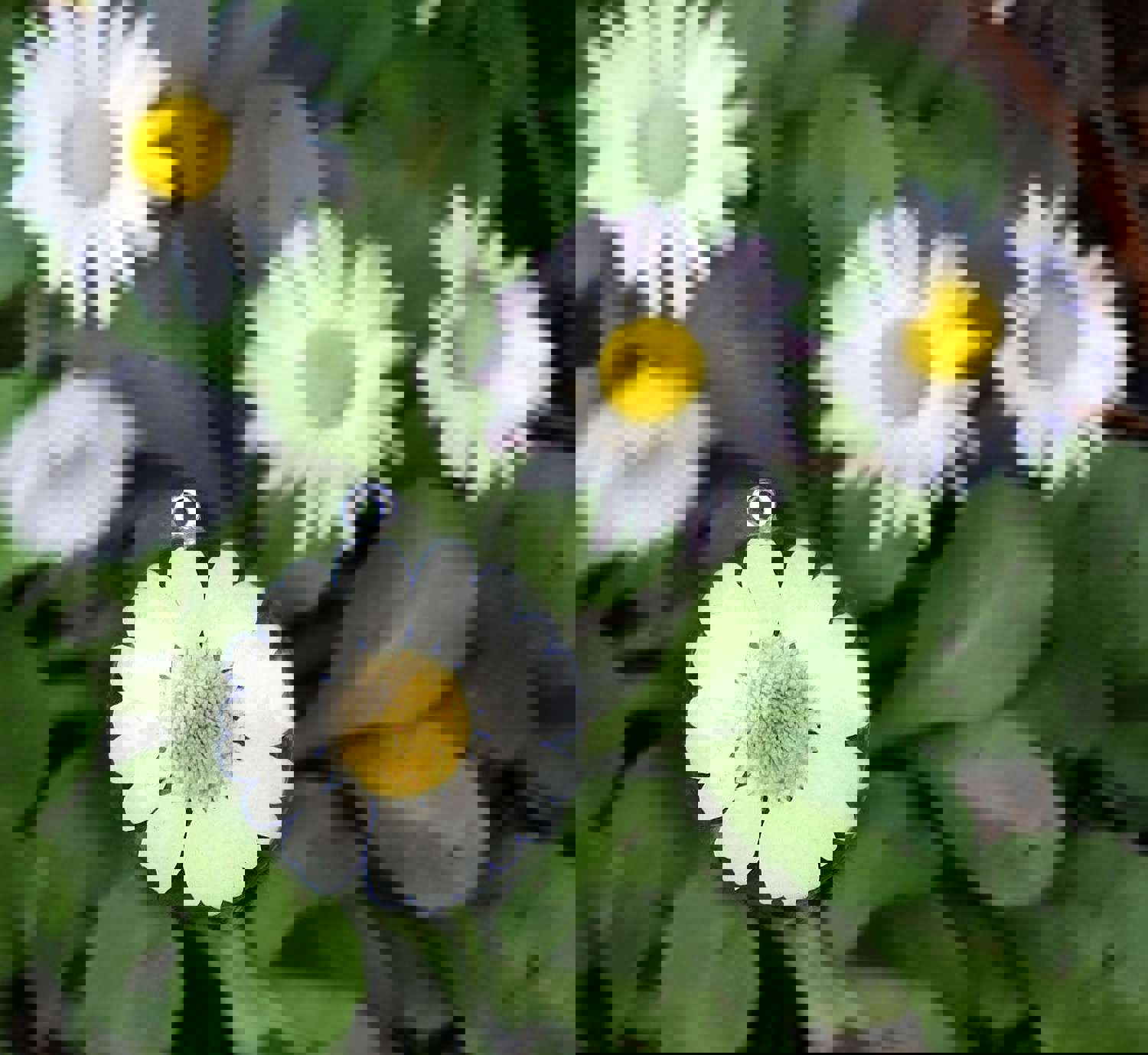 Handmade Summer Daisy Pendant - Unique Resin Flower Jewelry