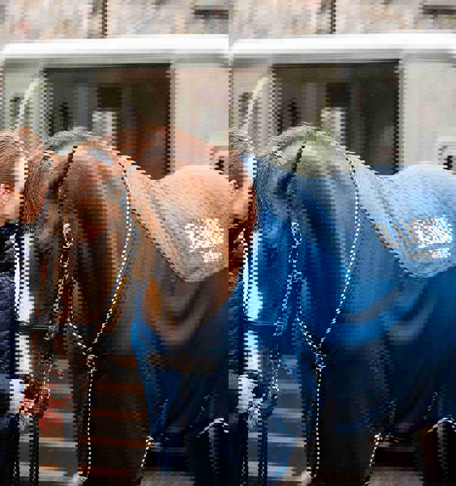 Horseware Ireland Rambo Travel Series (50g Lite) Horse Blanket