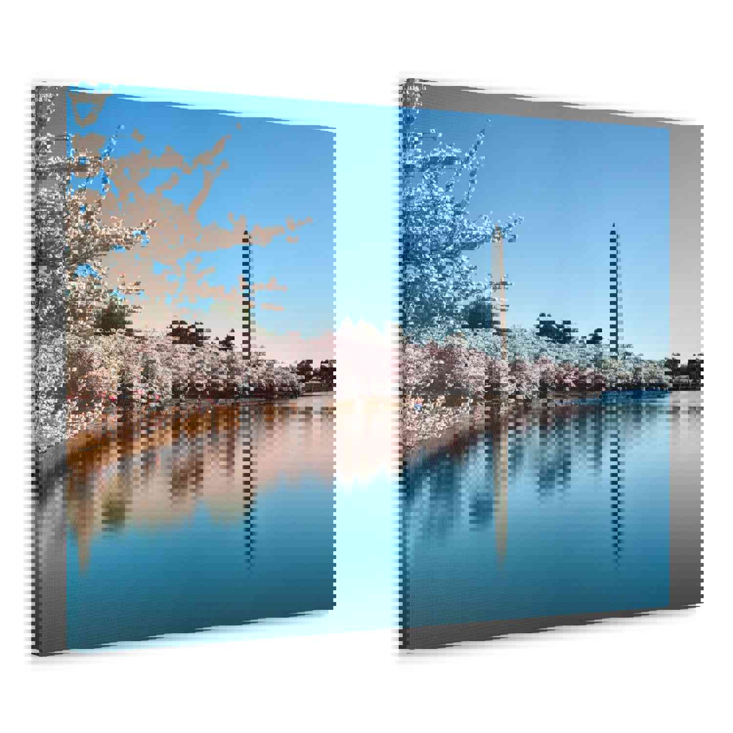 Cherry Blossom Festival at The National Mall Washington Modern Multicolor Scenic Nature Photography Canvas Home Office Decor Ready to Hang