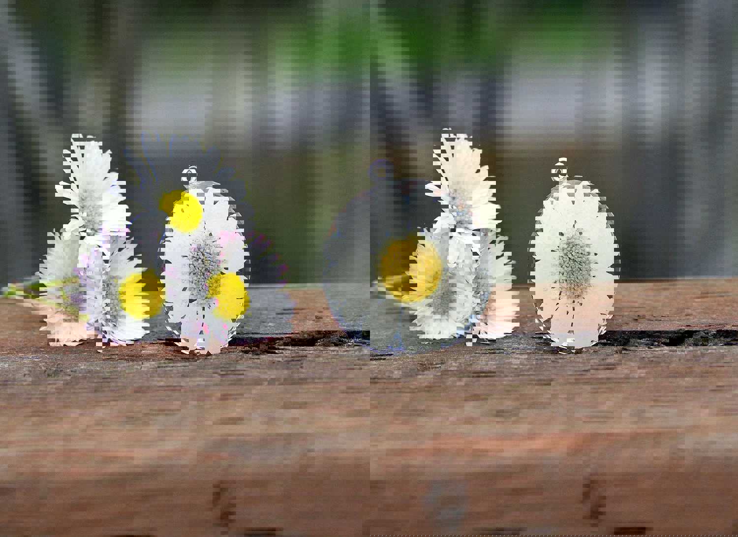 Handmade Summer Daisy Pendant - Unique Resin Flower Jewelry