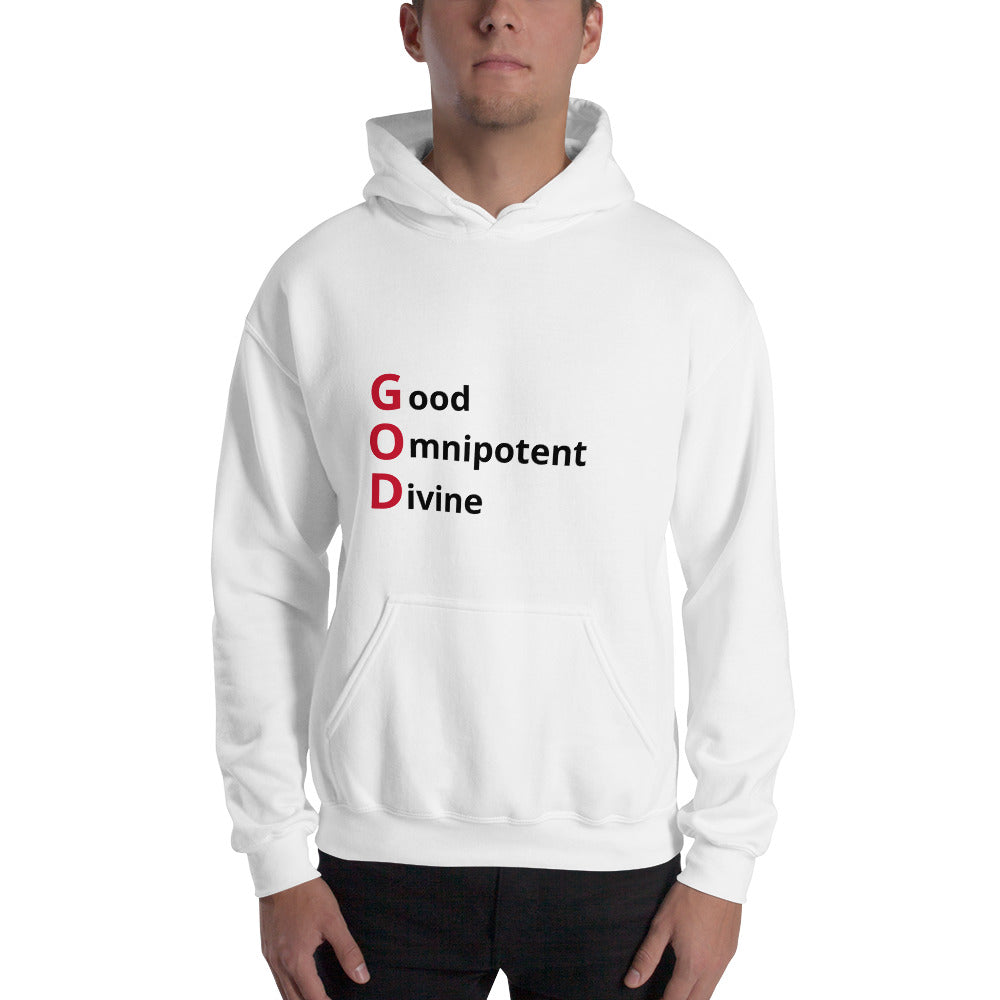 Faith Based Christian Unisex Hooded Sweatshirt for Him or Her