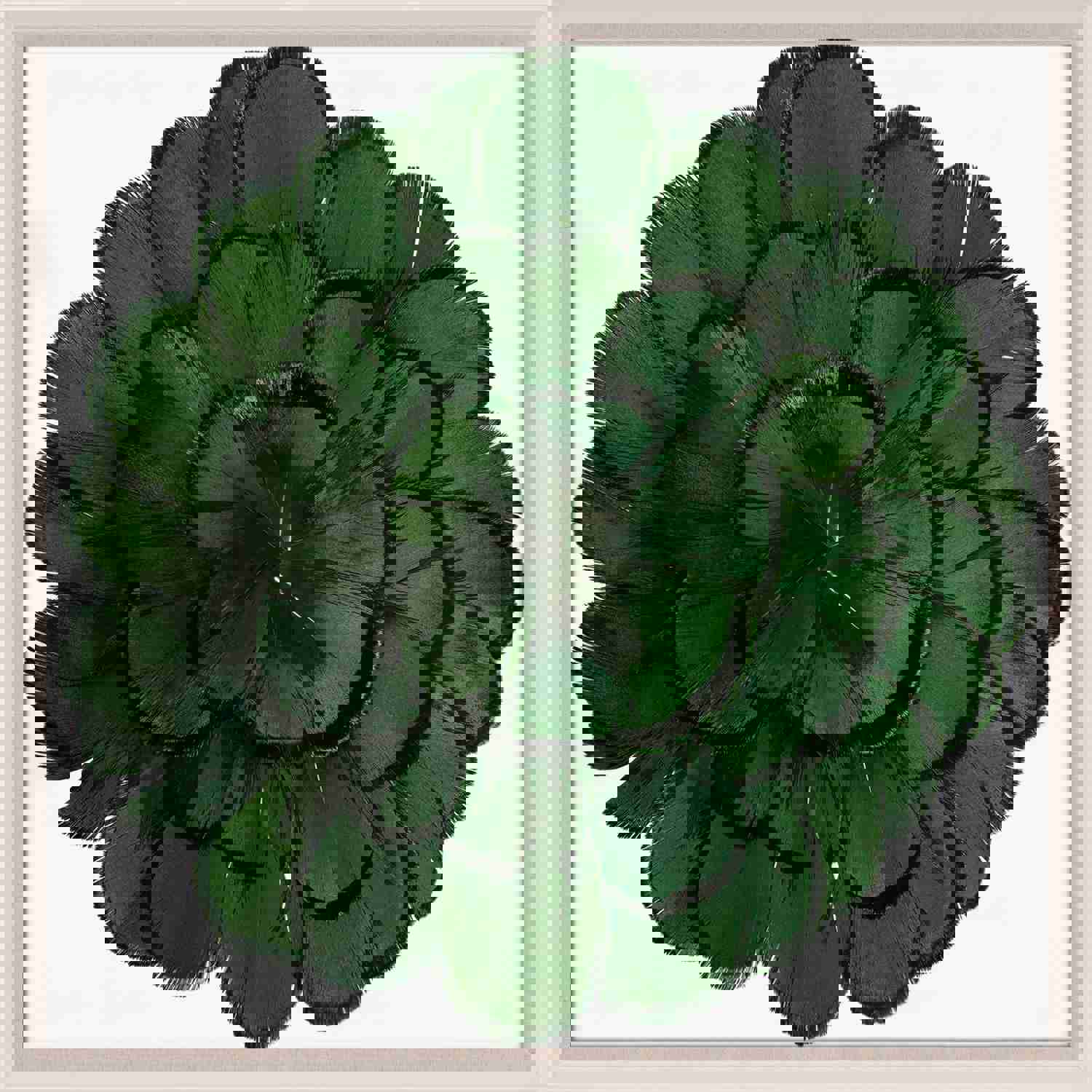 Natural Curiosities Queen Victoria Feathers 3 Art, Green - Elegant Floral Feather Wall Decor