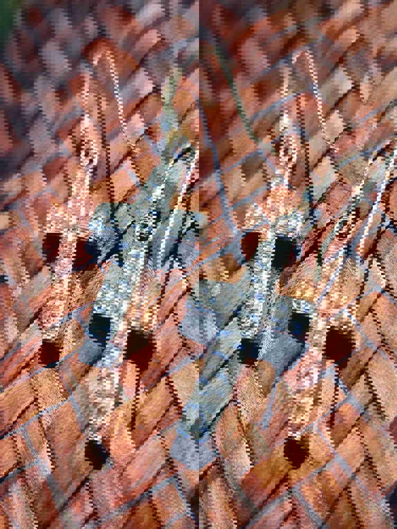 El Único - Hammered Pendant Cross Earrings