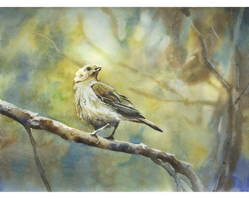 Original Bird Landscape Watercolor Painting - Home Decor Artwork