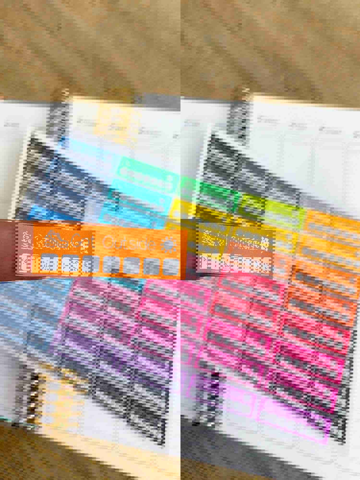 Fitness Outdoors Walking Biking Planner Stickers for Erin Condren Life Planner (ECLP) - 40 Outdoor Activity Stickers