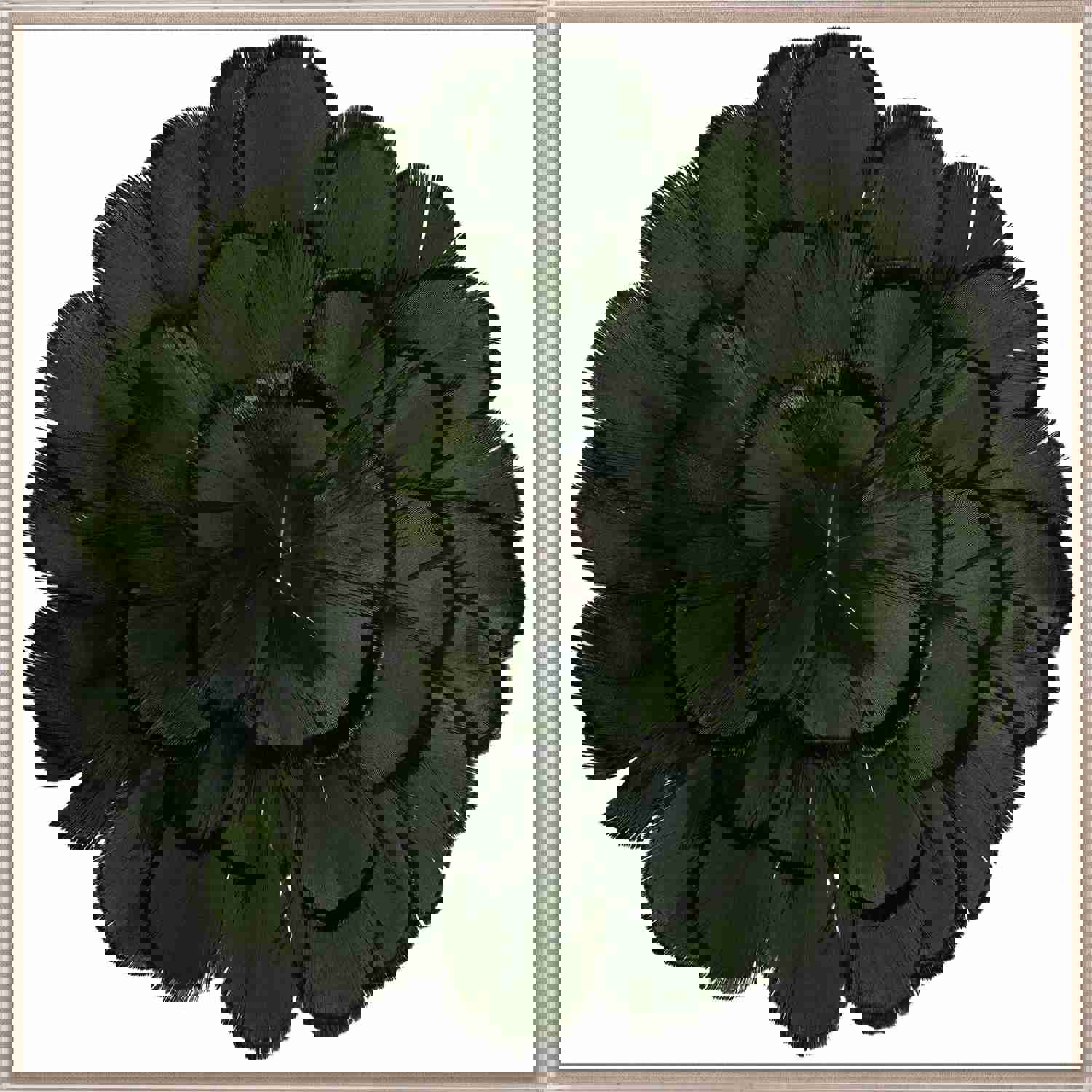 Natural Curiosities Queen Victoria Feathers 3 Art, Green - Elegant Floral Feather Wall Decor