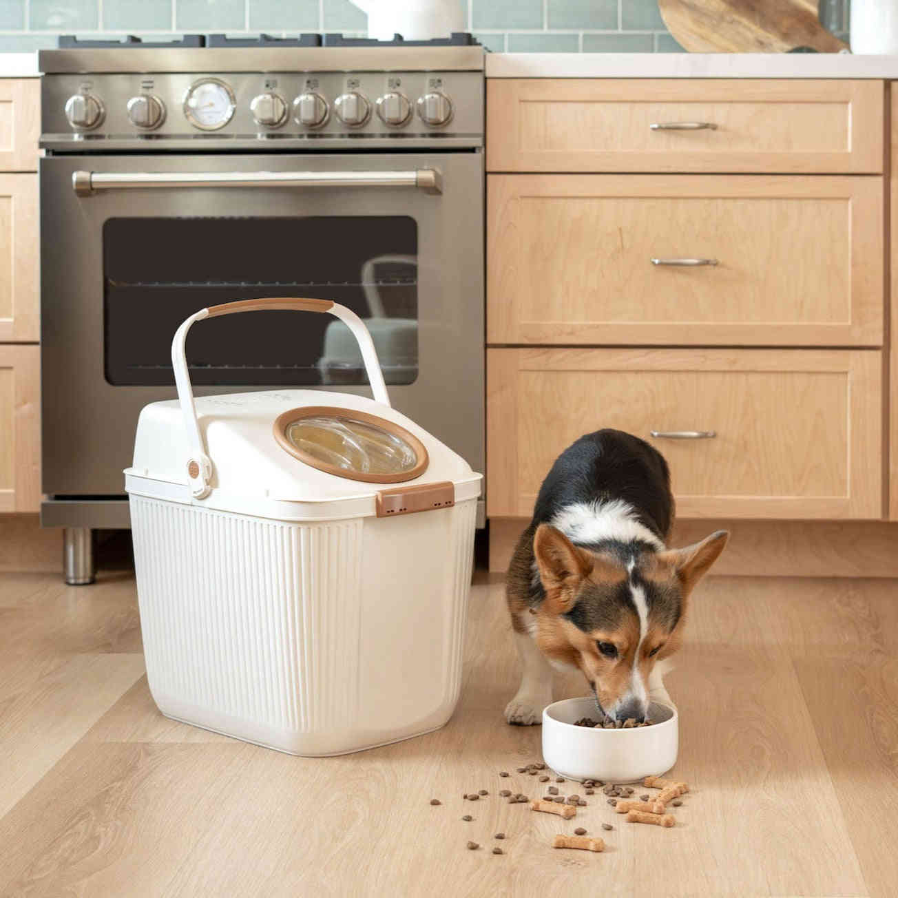 Airtight Eco-Friendly Plastic Food Storage for Pets