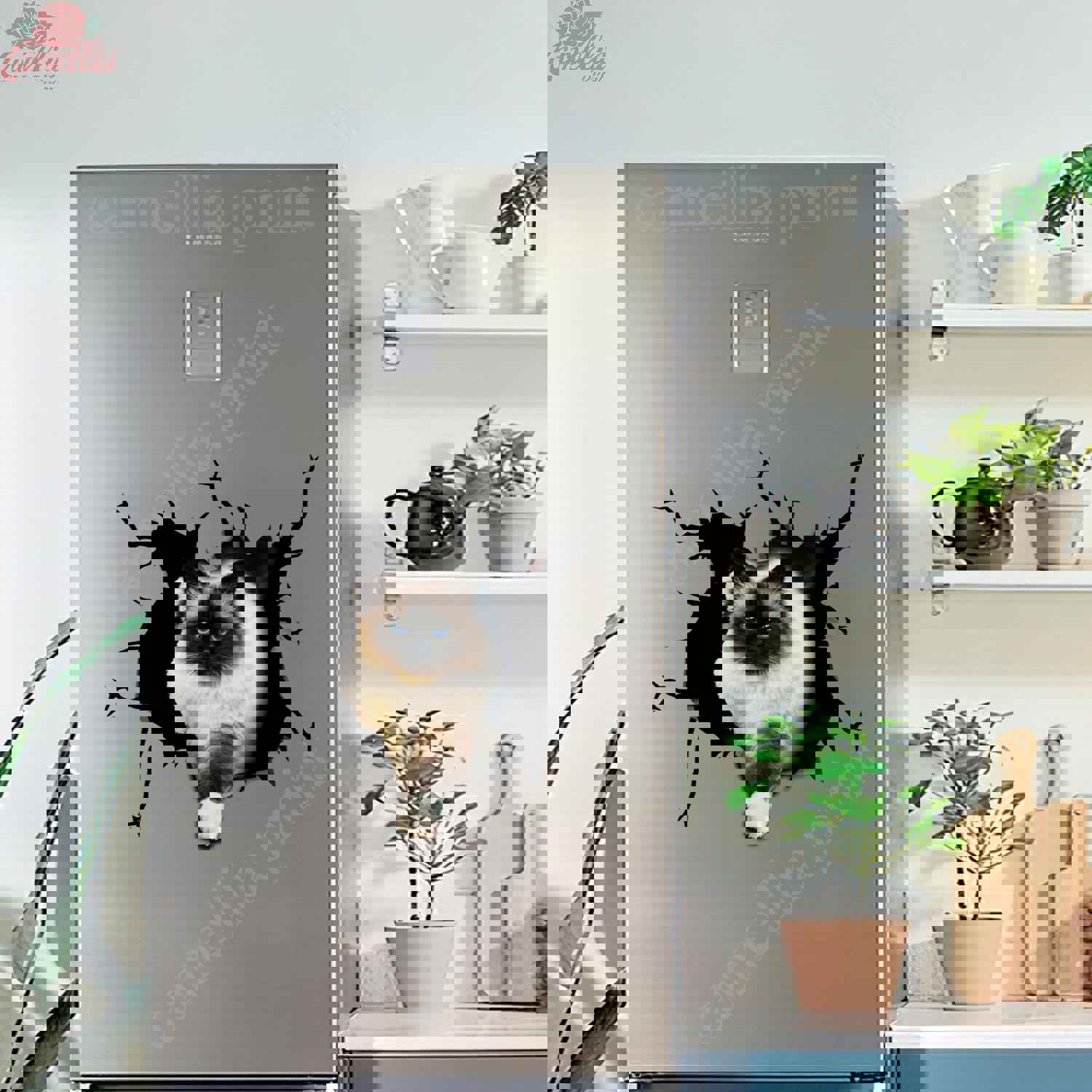 Ragdoll Cat Crack Sticker Pack - Humor Vinyl Decals for Cars & 21st Birthday Gifts