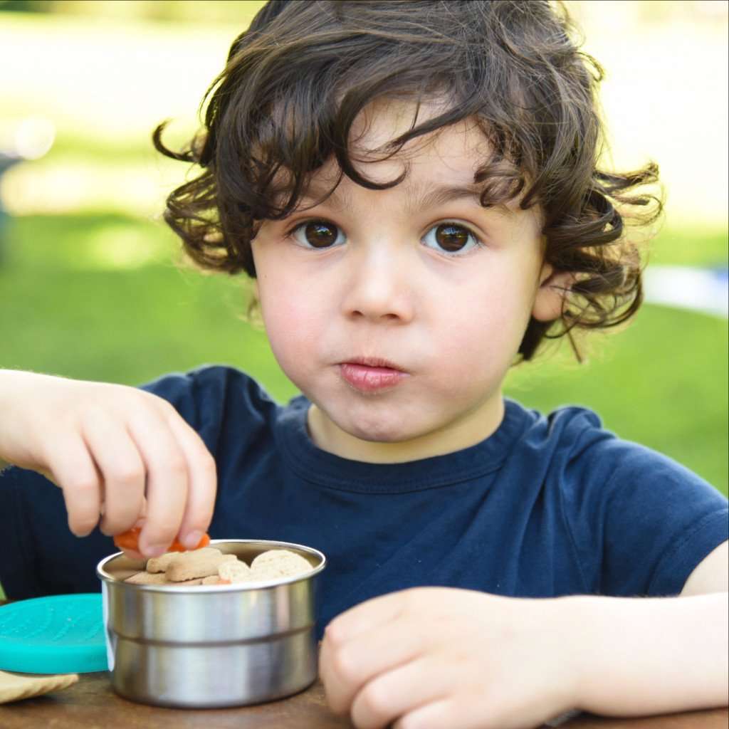 Blue Water Bento | Leak Proof Snack & Food Storage Container