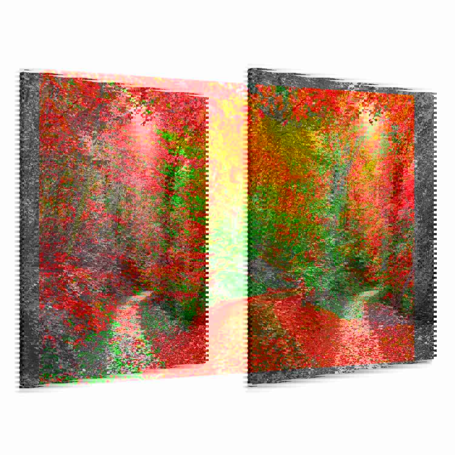 Colorful Trees Footpath Road Flower Canvas Wall Art for Home Decor