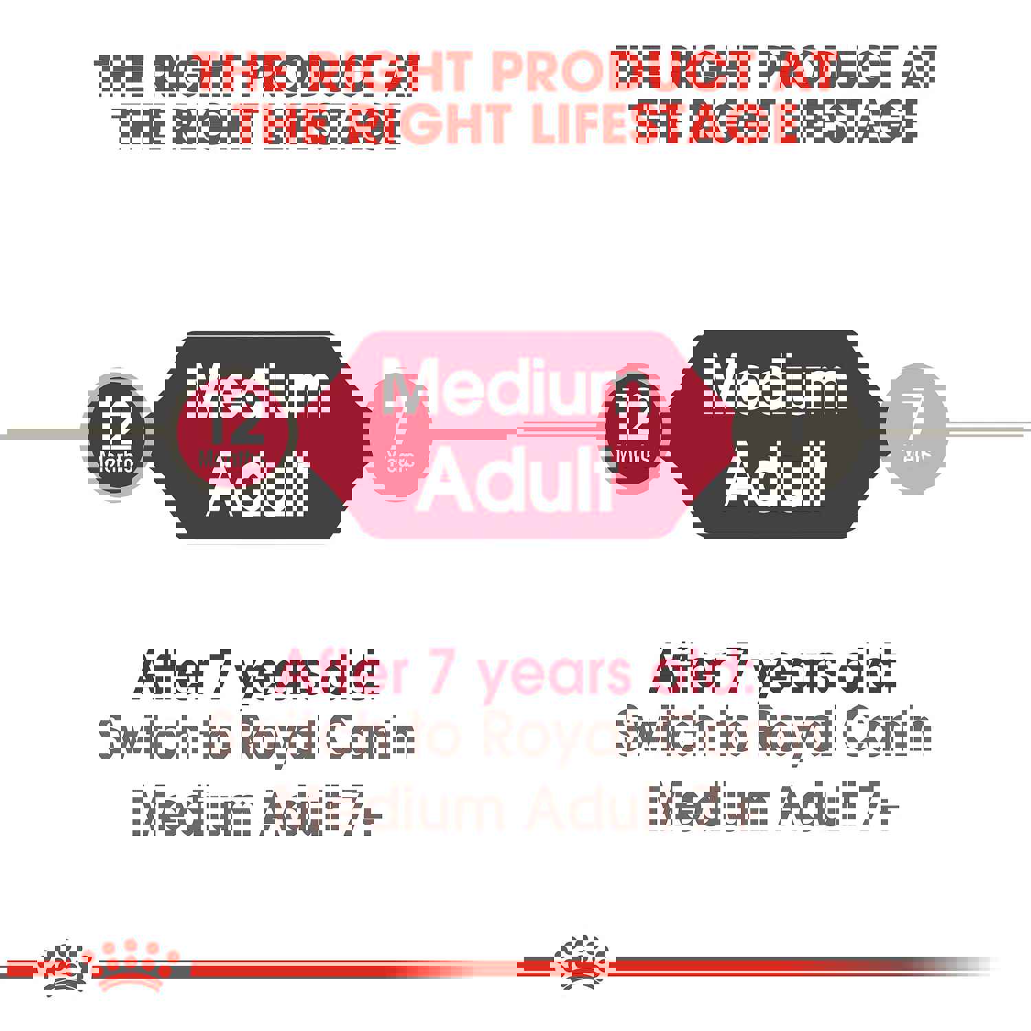 Royal Canin Medium Breed Adult Dry Dog Food, 30-lb Bag