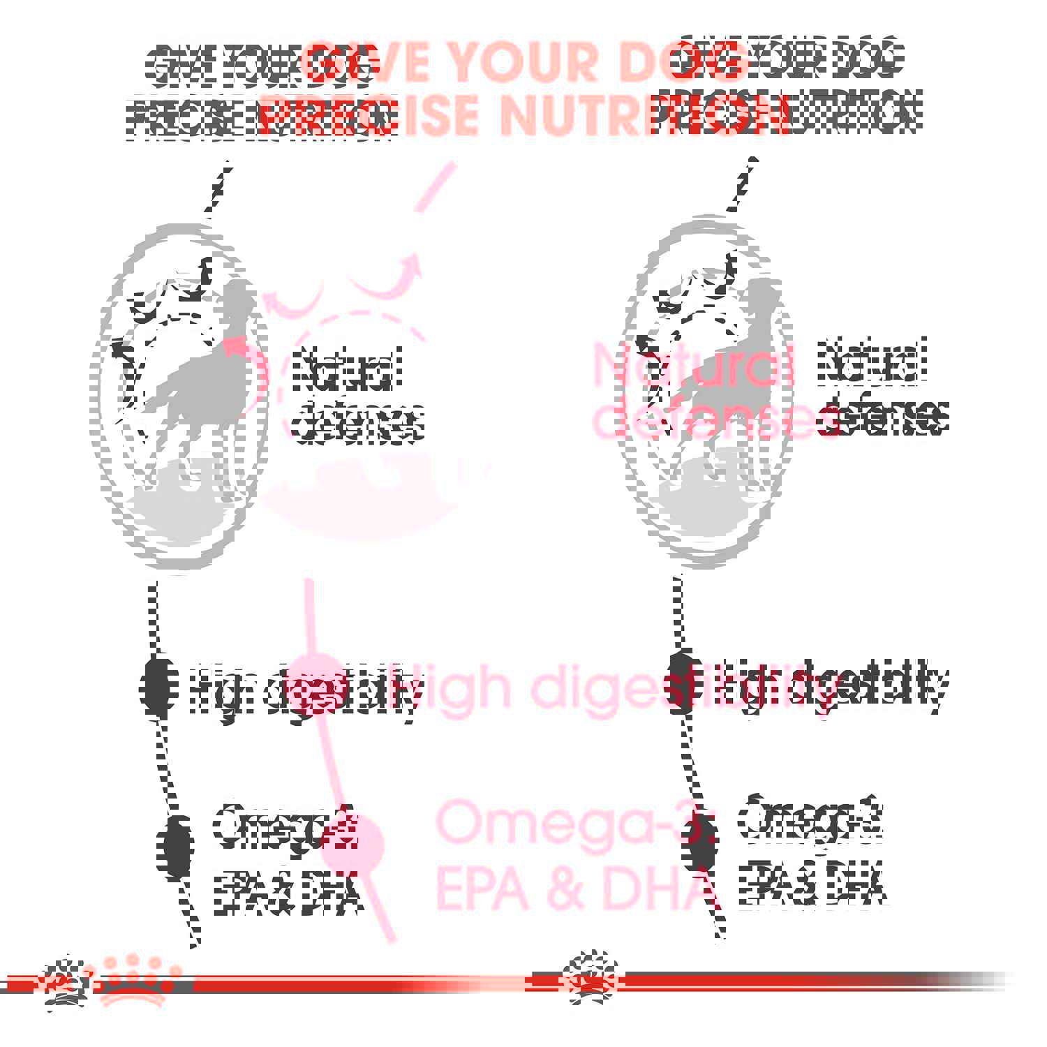 Royal Canin Medium Breed Adult Dry Dog Food, 30-lb Bag