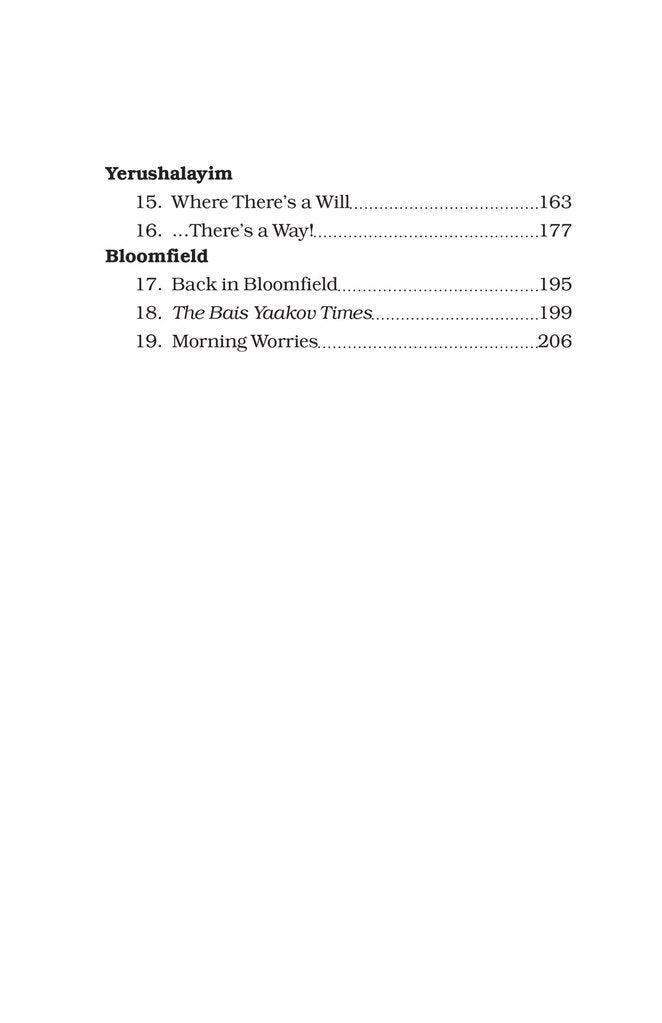 The B.Y. Times: Flying High - Book 13