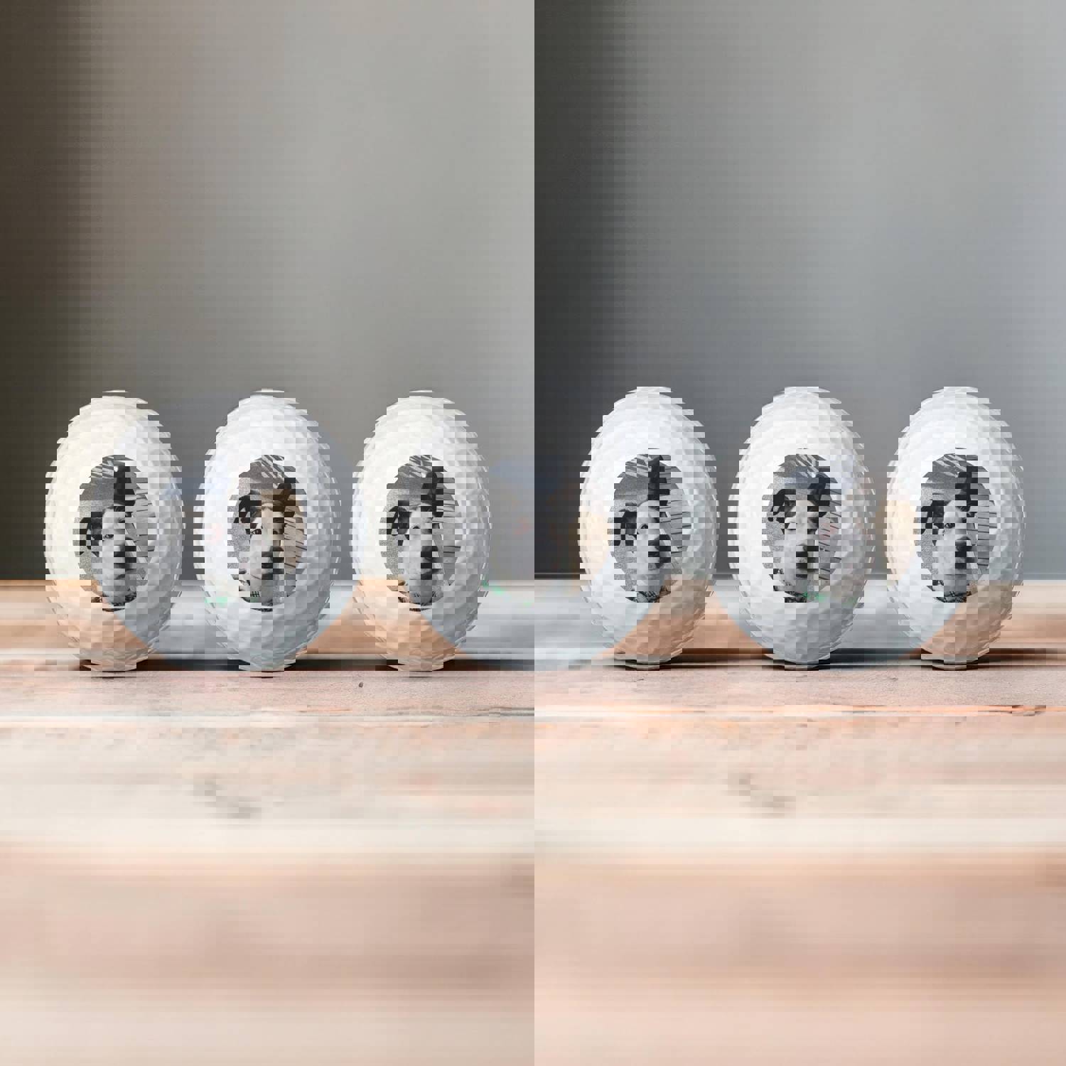 Custom Pet Face Printed Golf Balls - Personalized Golf Gift Set of 3, 6, 9 or 12