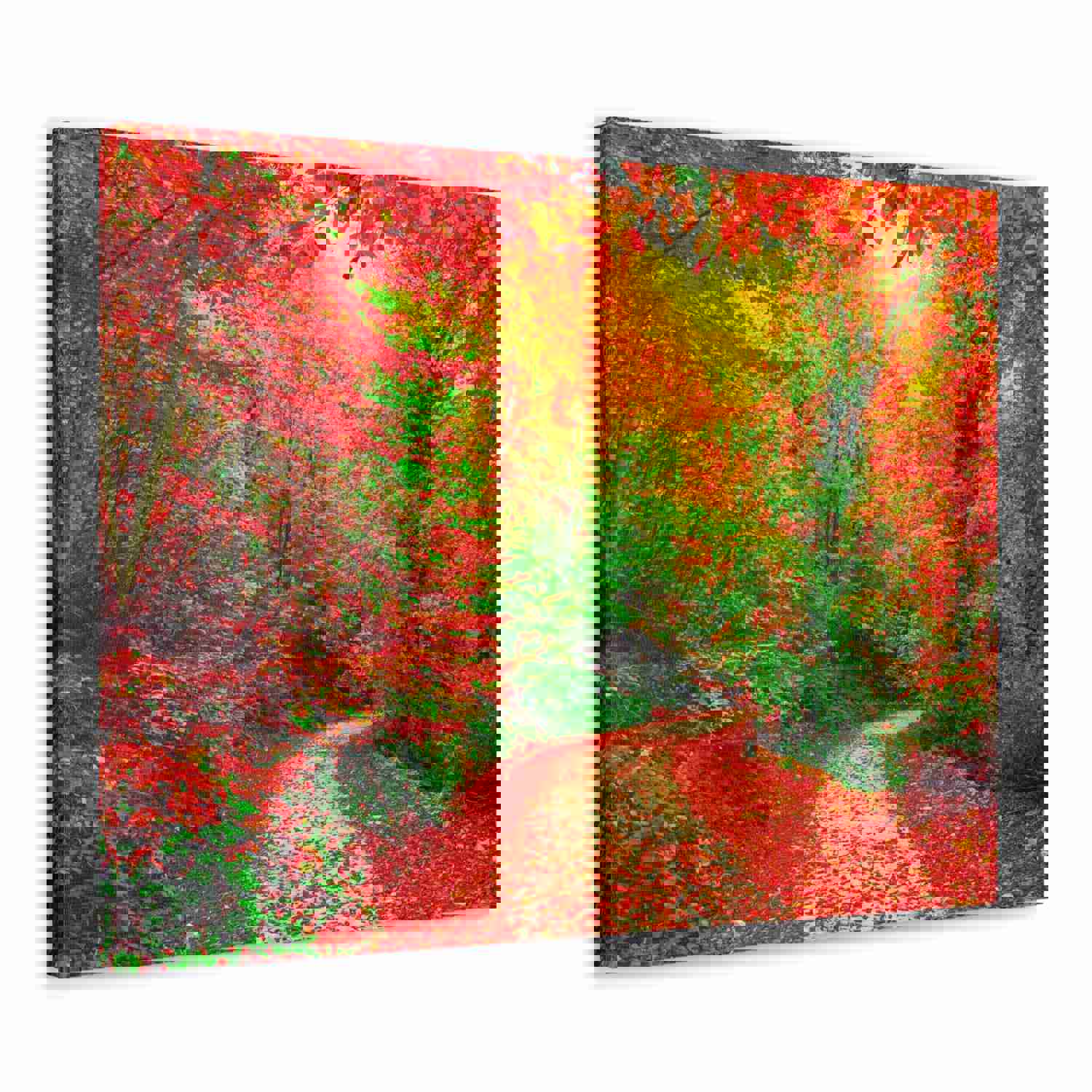 Colorful Trees Footpath Road Flower Canvas Wall Art for Home Decor