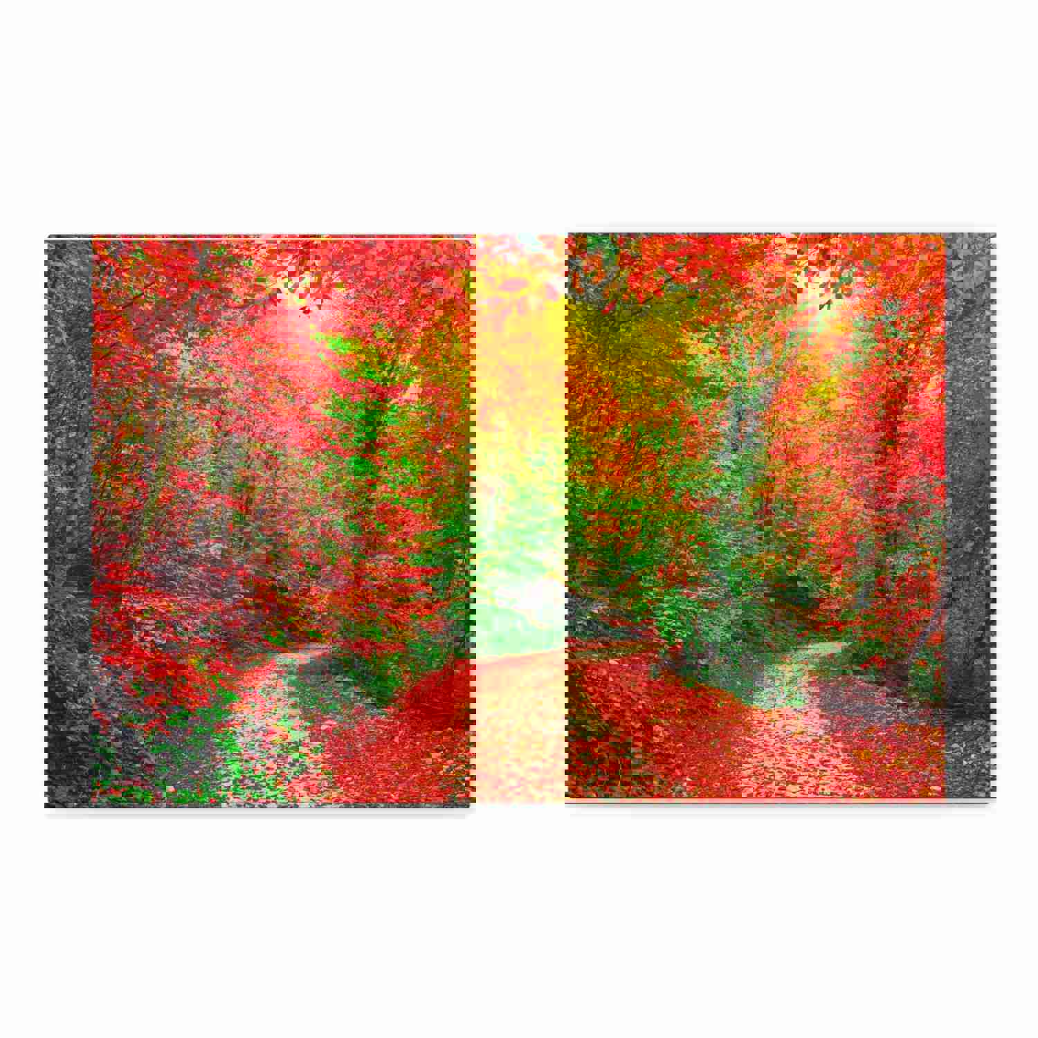 Colorful Trees Footpath Road Flower Canvas Wall Art for Home Decor