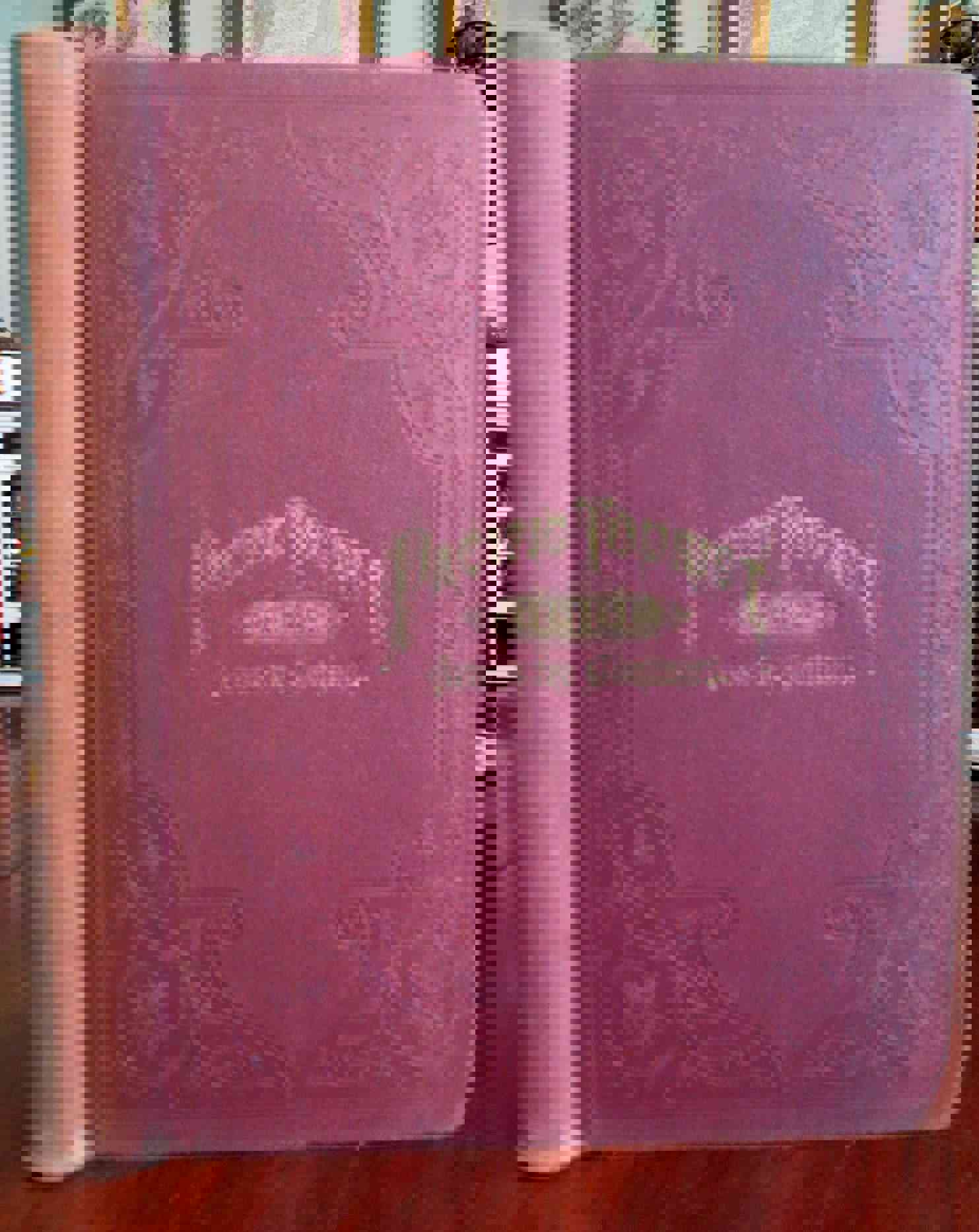 The Pacific Tourist: American Trans-Continental Guide 1884 Illustrated Book