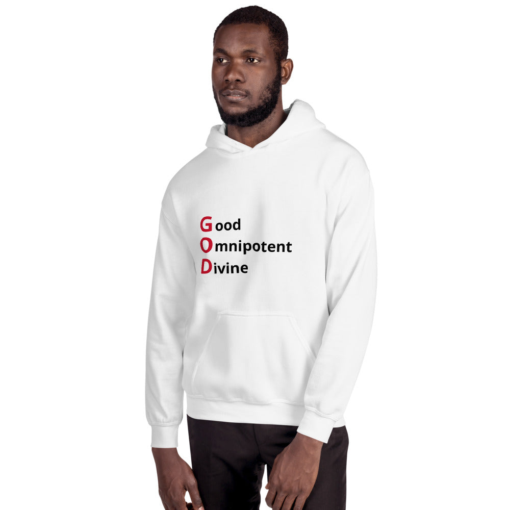 Faith Based Christian Unisex Hooded Sweatshirt for Him or Her