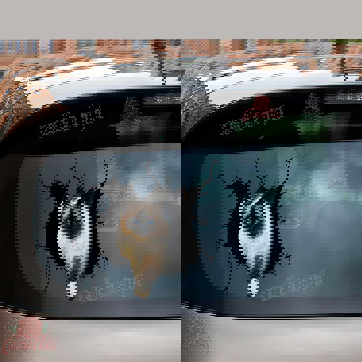 Ragdoll Cat Crack Sticker Pack - Humor Vinyl Decals for Cars & 21st Birthday Gifts