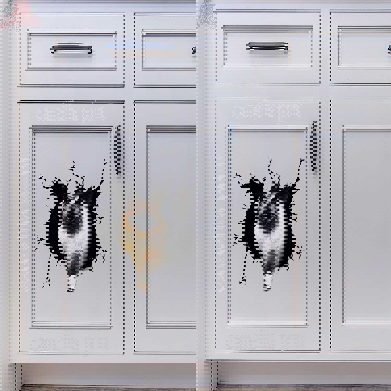 Ragdoll Cat Crack Sticker Pack - Humor Vinyl Decals for Cars & 21st Birthday Gifts