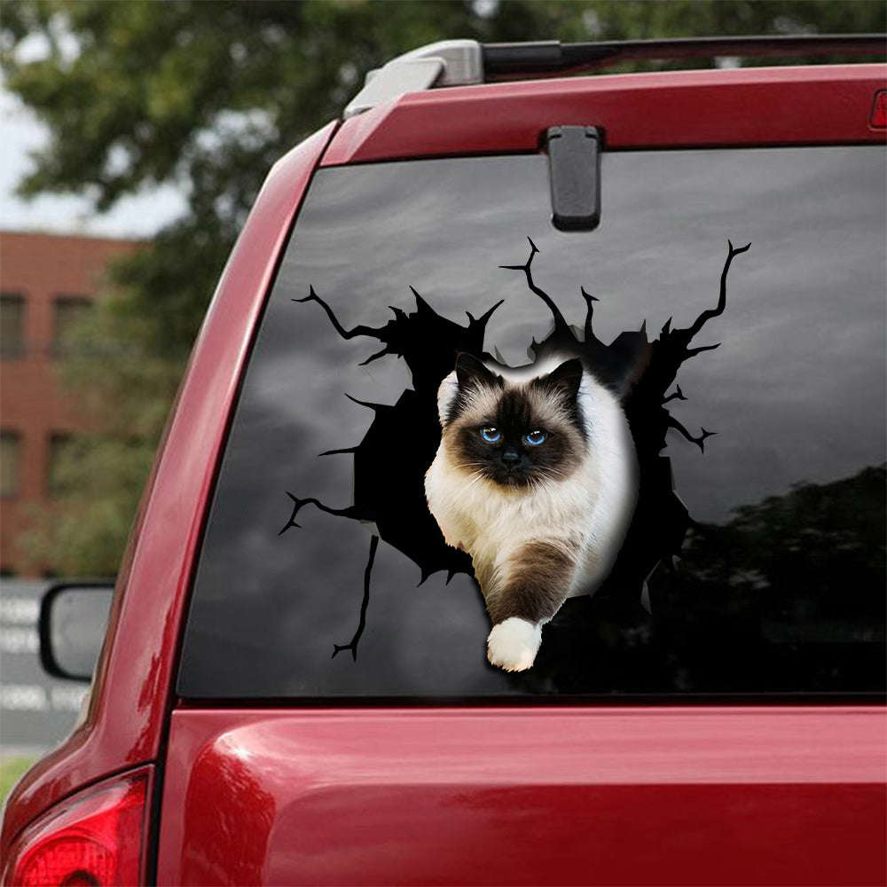 Ragdoll Cat Crack Sticker Pack - Humor Vinyl Decals for Cars & 21st Birthday Gifts