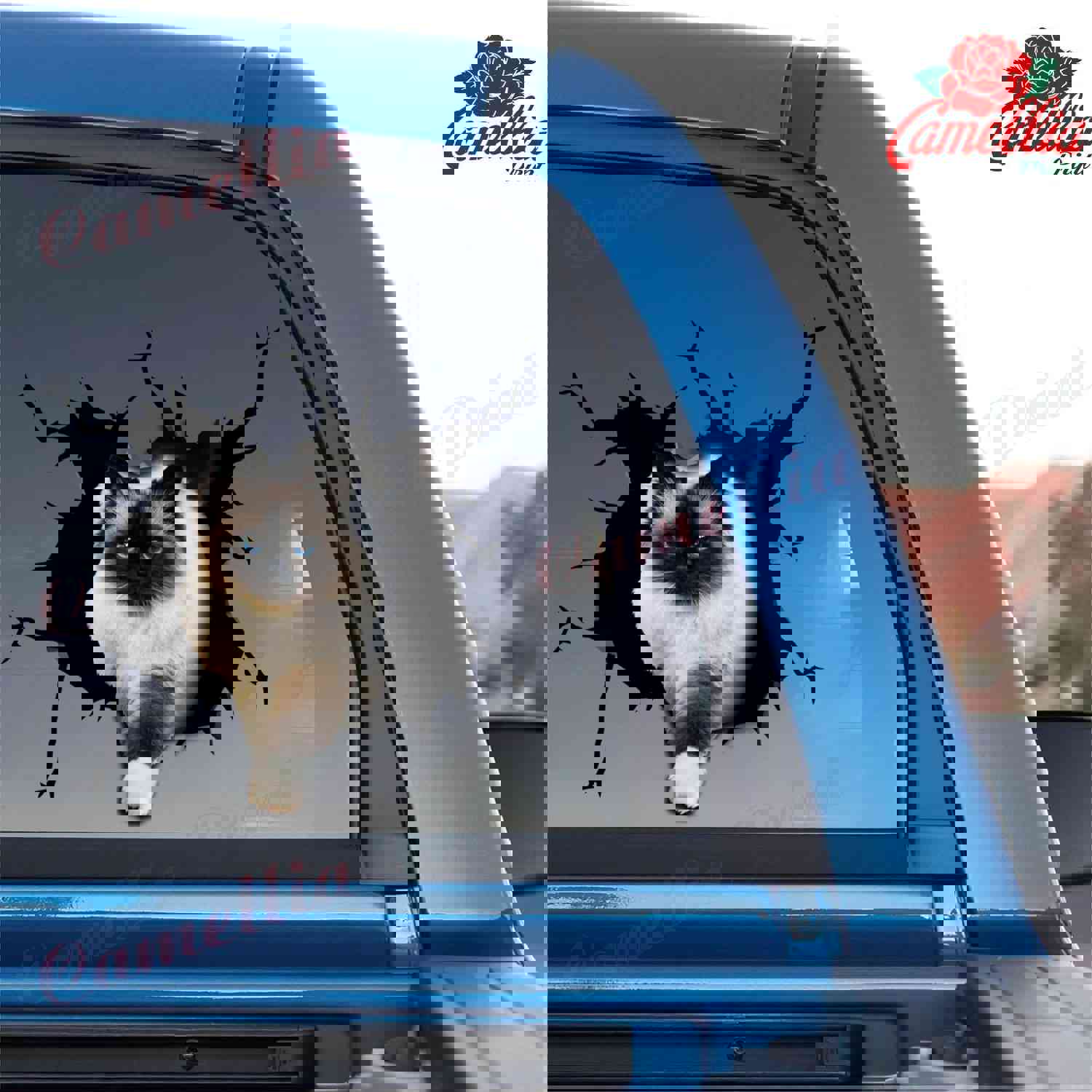 Ragdoll Cat Crack Sticker Pack - Humor Vinyl Decals for Cars & 21st Birthday Gifts