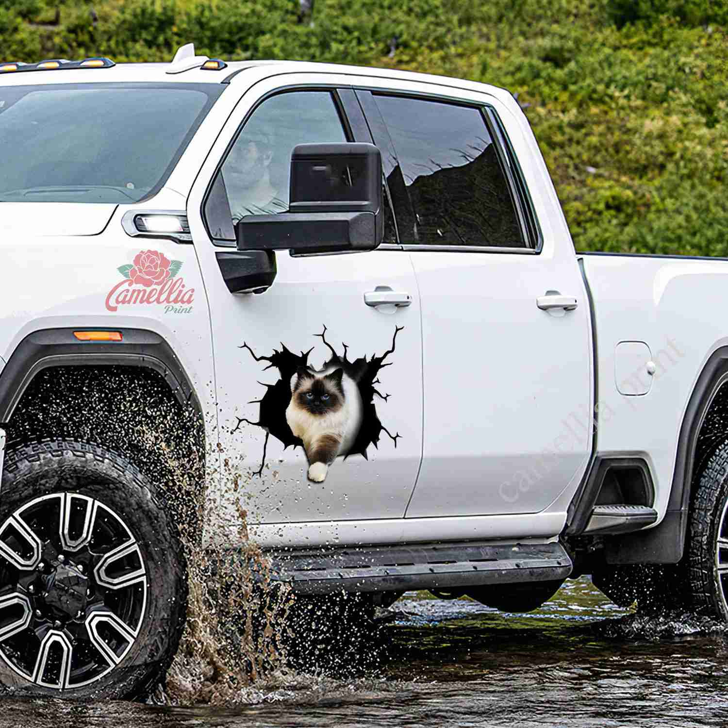 Ragdoll Cat Crack Sticker Pack - Humor Vinyl Decals for Cars & 21st Birthday Gifts