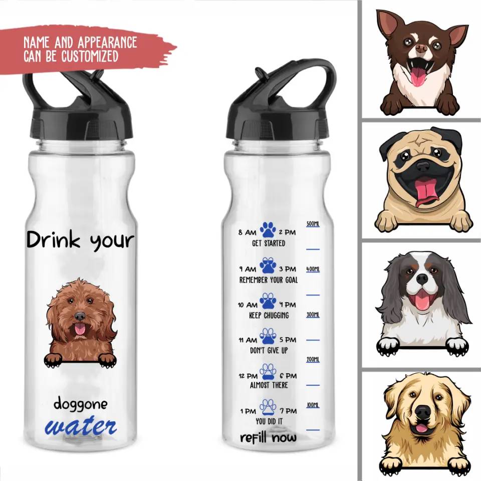 TRANCE 700ml PETG Water Bottle with Straw for Hydration On-the-Go