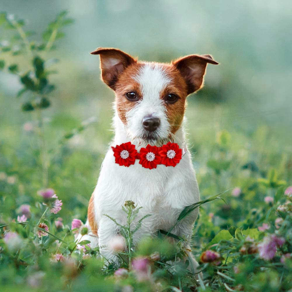 Masue Pets 15Pcs/Pack Dog Bow Tie Collar with Rhinestone Flower Accessories for Small Dogs and Cats