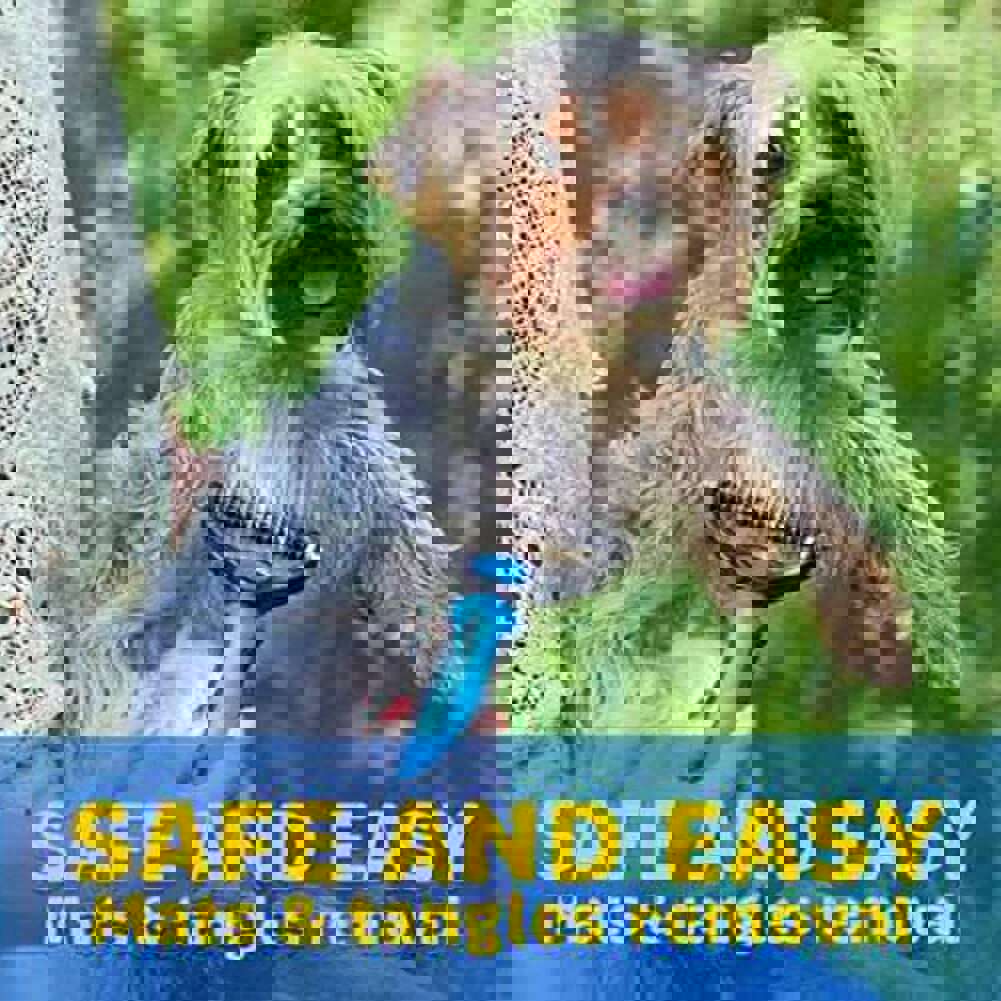 Multifunctional Pet Hair Removal Brush - Self-cleaning Comb for Dogs and Cats