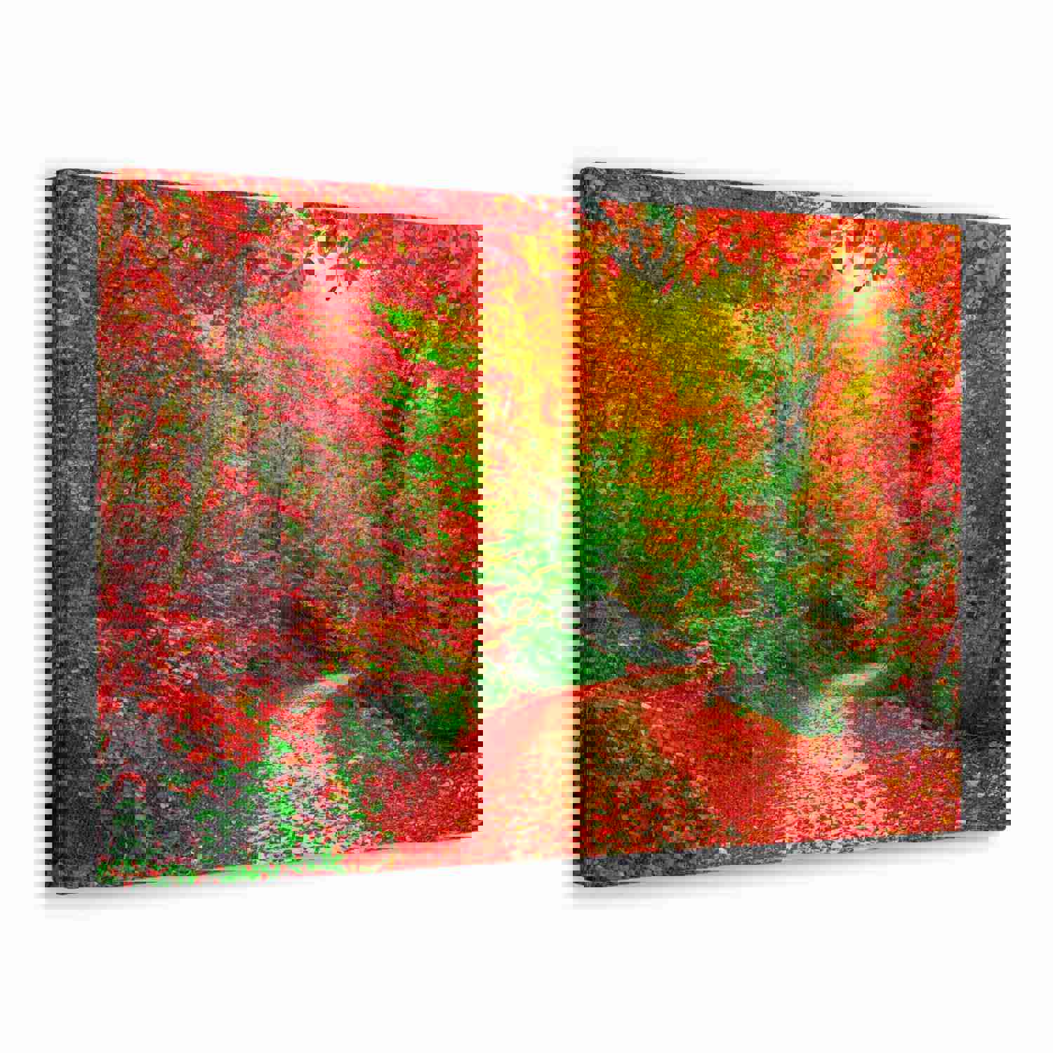 Colorful Trees Footpath Road Flower Canvas Wall Art for Home Decor