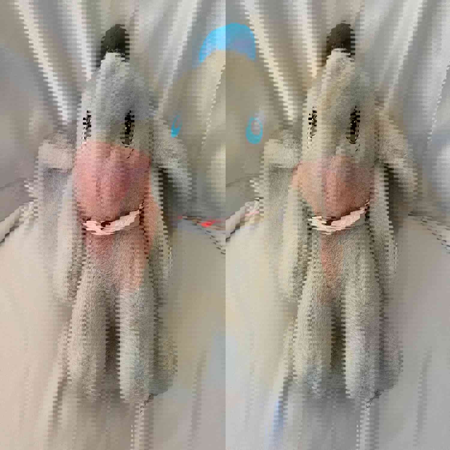 Disney Baby Dumbo Plush Mouseket Toy (Pre-owned)