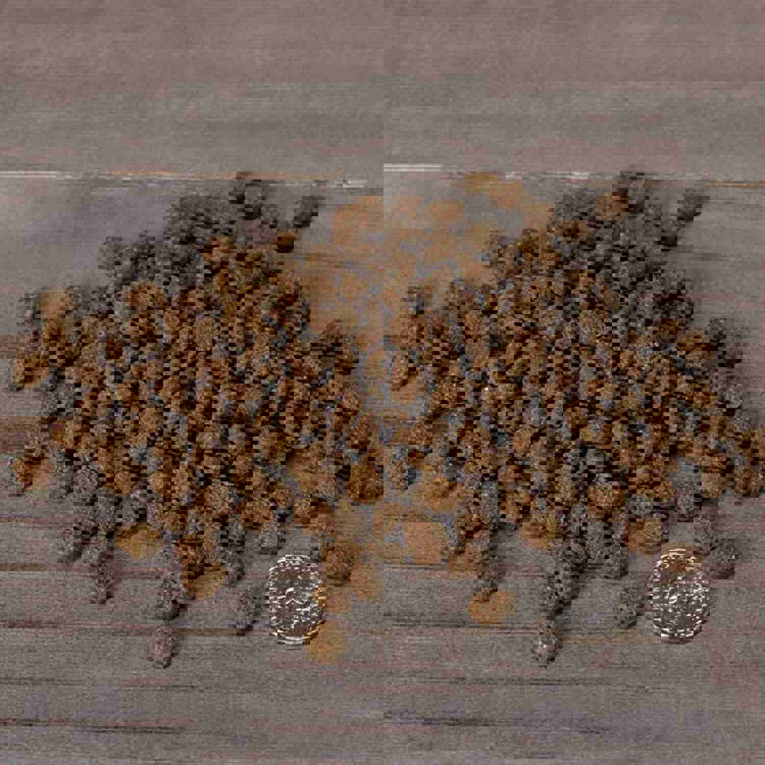 Nulo Senior Freestyle Dry Cat Food: All Natural Ingredient Diet for Digestive & Immune Health - Allergy Sensitive Non-GMO