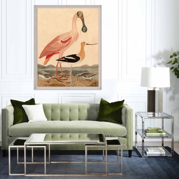 Natural Curiosities Warnicke Spoonbill Art - Vintage Bird Illustration