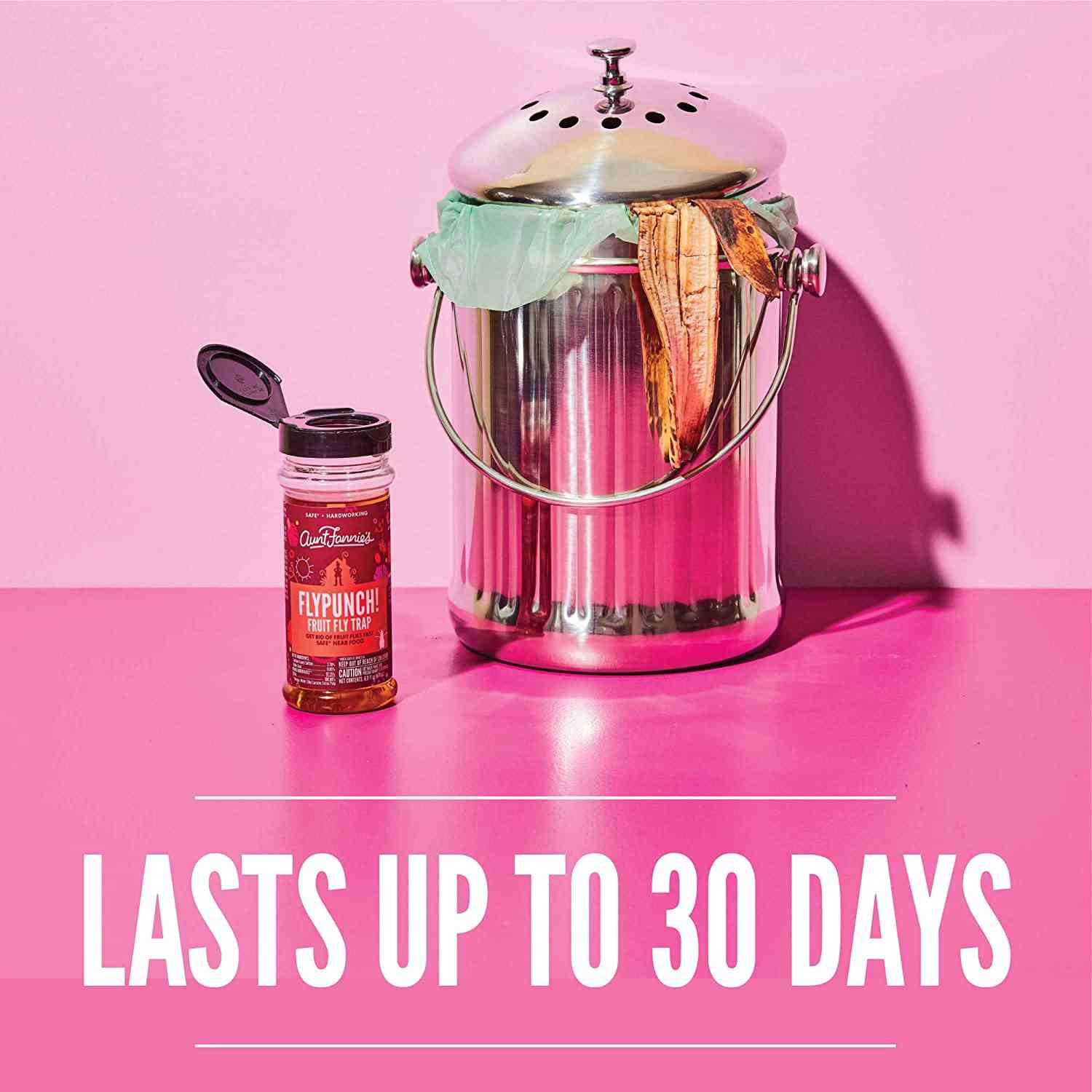 Aunt Fannies FlyPunch - Fruit Fly Trap (6-Pack), Safe & Effective Indoor Solution