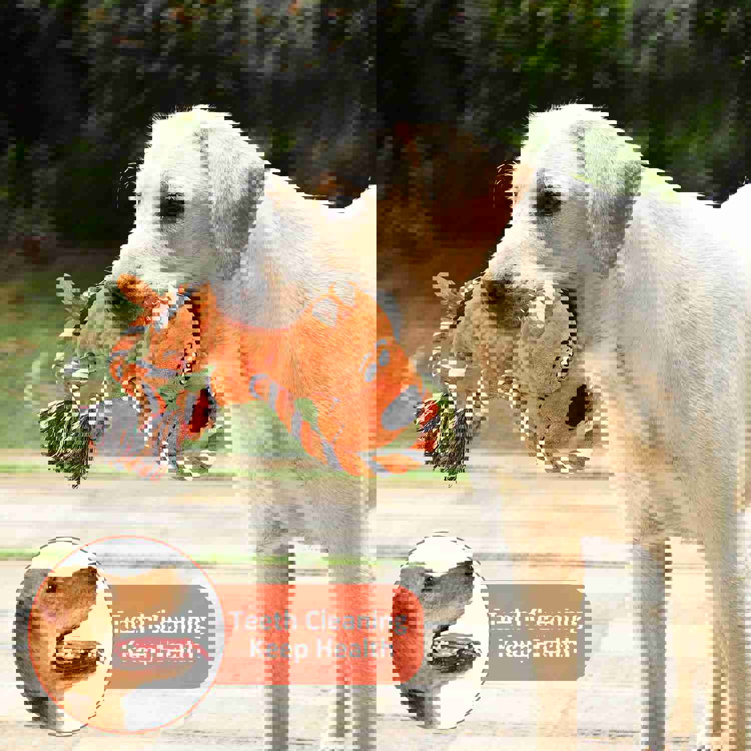 IOKHEIRA Plush Squeaky Dog Toy with Crinkle Paper and Knotted Rope for Teeth Cleaning