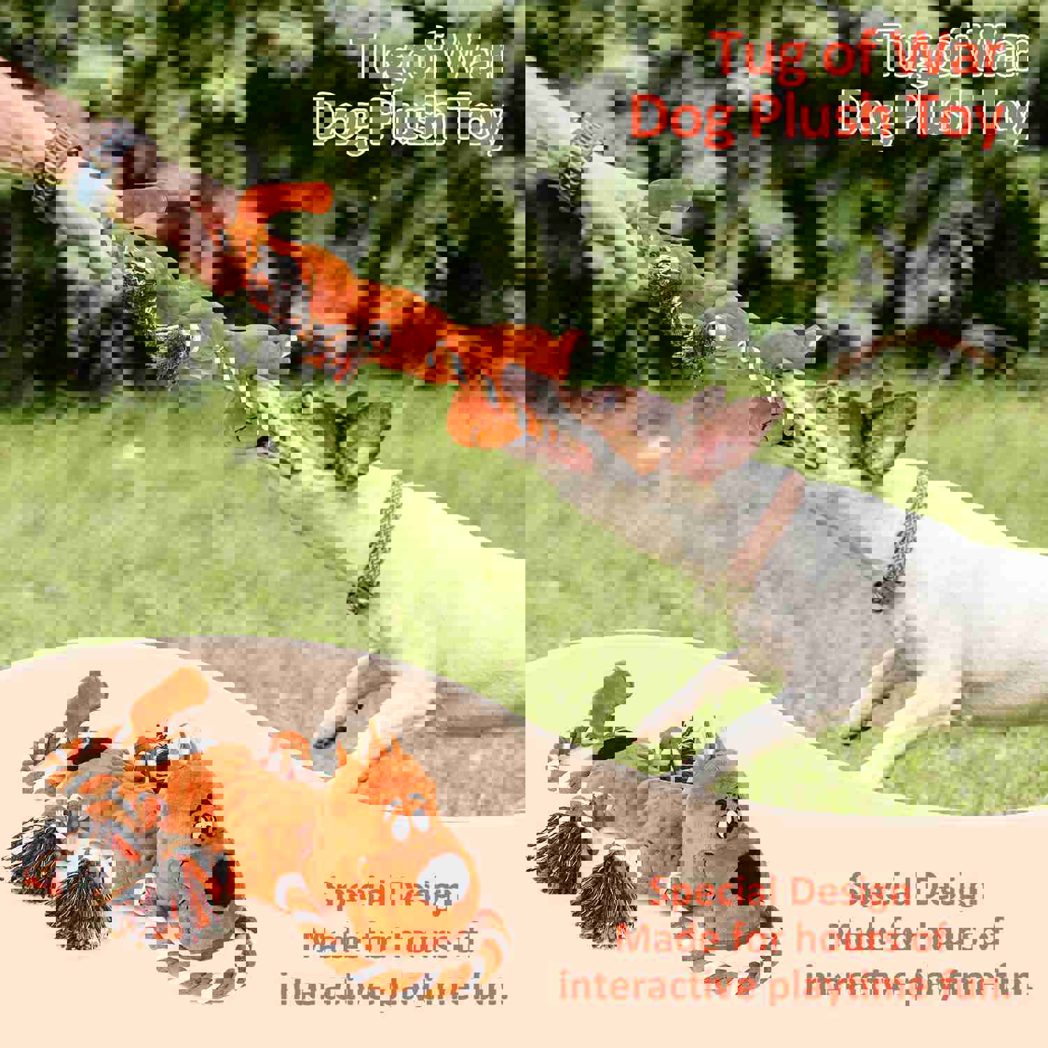 IOKHEIRA Plush Squeaky Dog Toy with Crinkle Paper and Knotted Rope for Teeth Cleaning