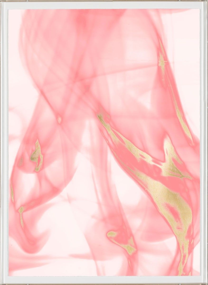 Natural Curiosities Prairie in Pink No. 2 Art - Gold Leaf Acrylic Framed Fine Art Print