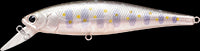 Lucky Craft Pointer 100 SP Fishing Lure