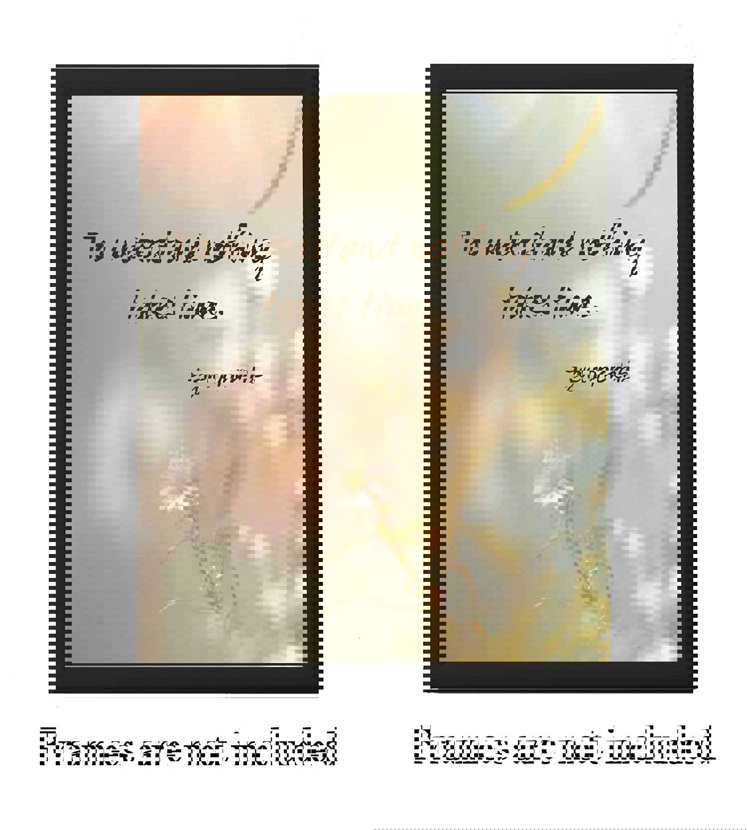 Zen Proverb Wall Art Print - 'To Understand Nothing Takes Time' - 8x10 Inspirational Quote for Home, Studio, or Office