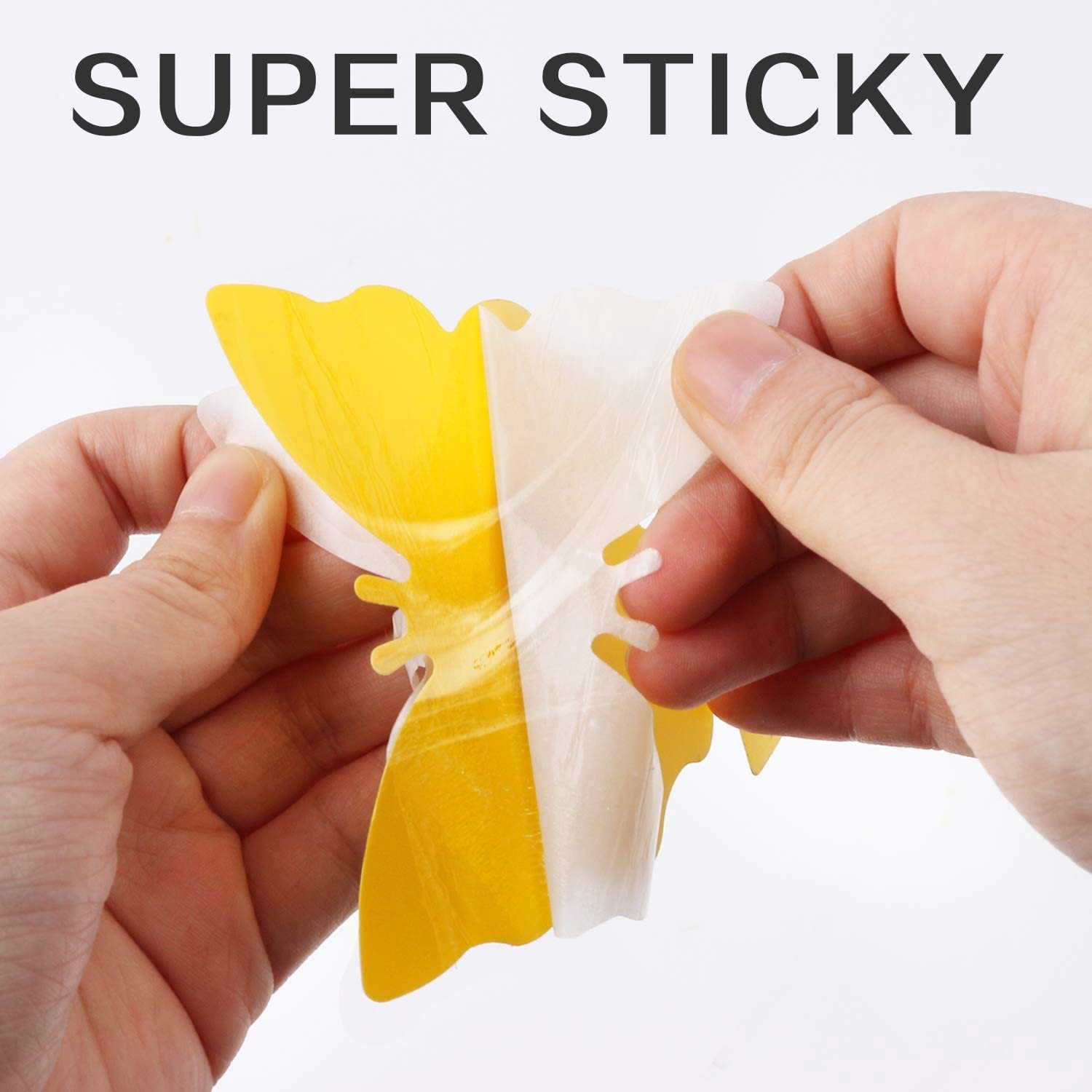 Mosqueda Fruit Fly Traps - 36 Pack Non-Toxic Yellow Sticky Bug Traps for Indoor & Outdoor Use
