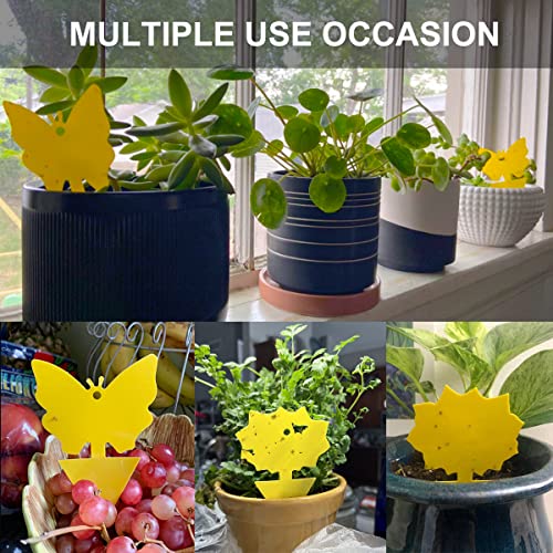 50 Pack Yellow Sticky Traps for Fruit Fly and Fungus Gnat Control, Indoor/Outdoor Plant Bug Catcher