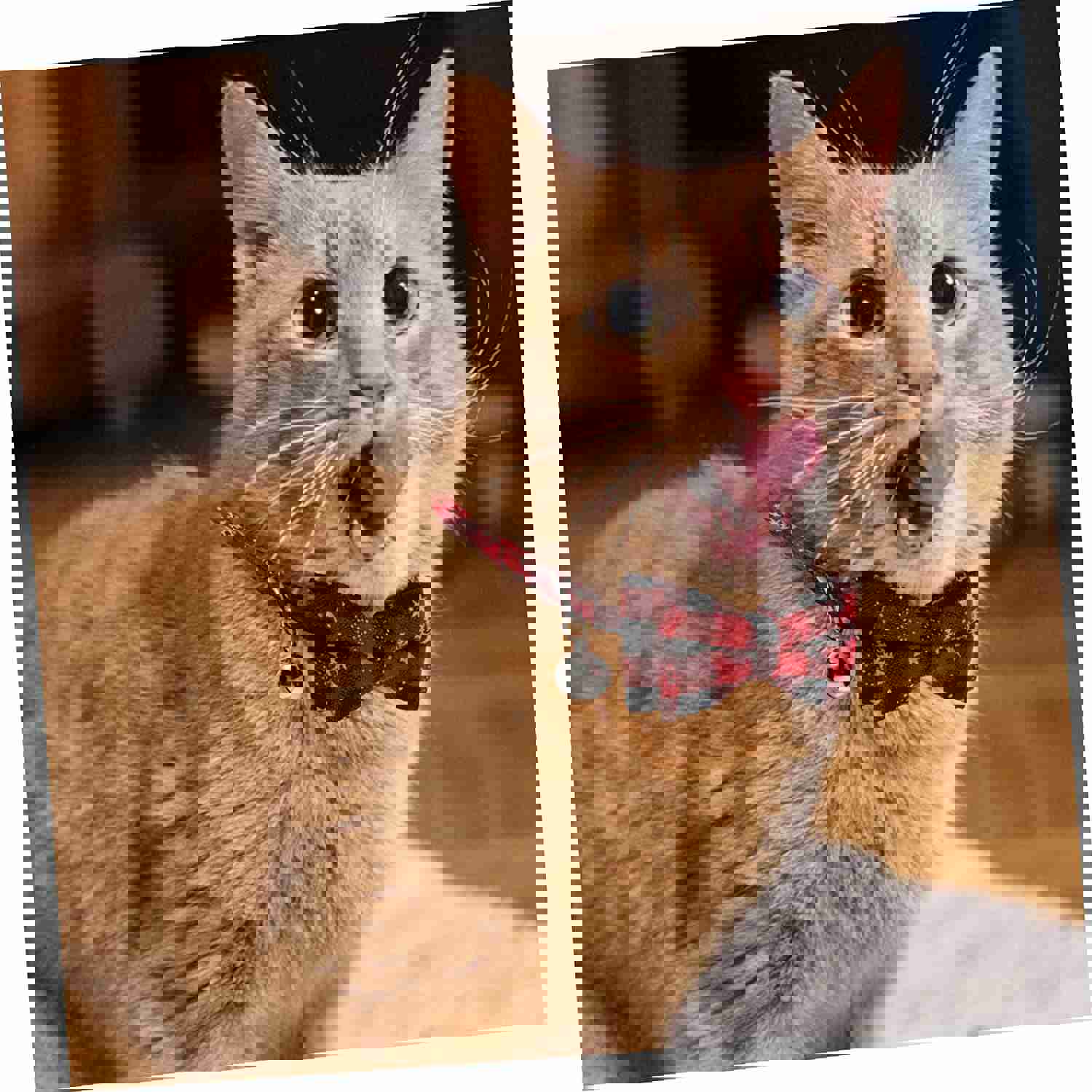 GLSTOY 1Pc Adjustable Christmas Bow Tie Collar for Small Dogs and Cats