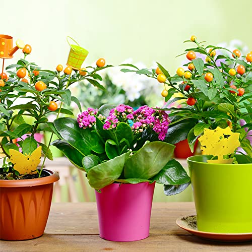 50 Pack Yellow Sticky Traps for Fruit Fly and Fungus Gnat Control, Indoor/Outdoor Plant Bug Catcher